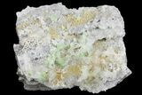 Green Augelite Crystals on Quartz - Peru #173390-1